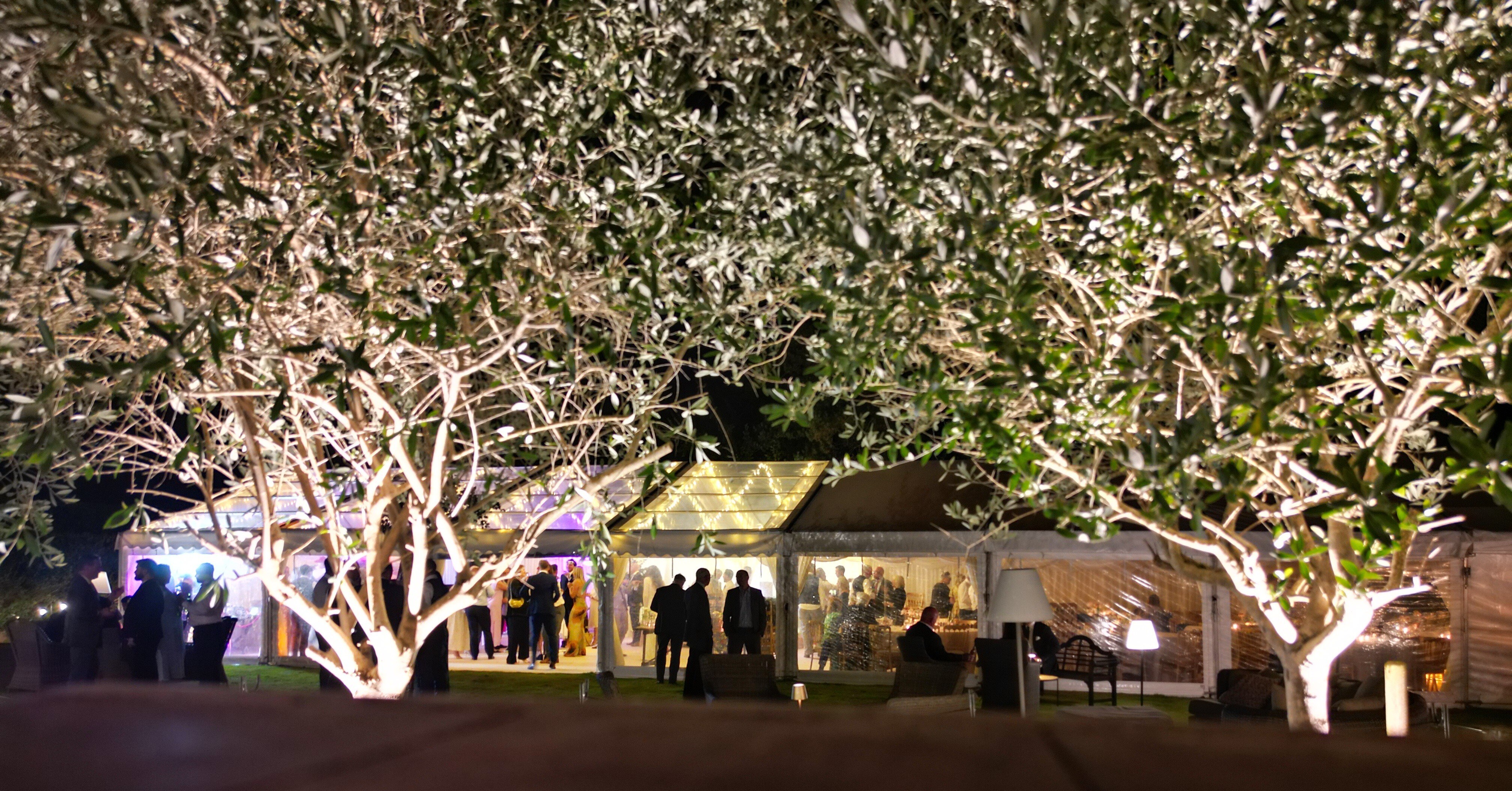 Clear roof Marquee